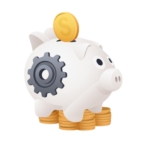 Cost-Efficient Financial Mastery